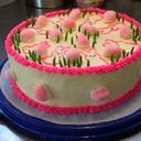 Suzanne Aplin - @suzanneaplin - Twitter