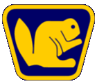 A Associaçao Nacional de CLubes de Castores - ANCC, é a união de todos os CLubes de Castores do Brasil, clubes juvenis filiados aos LIONS CLUBES, desde 1963