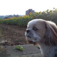 wtrych (@wtrych) 's Twitter Profile Photo wtrych (@wtrych) 's Twitter Profile Photo