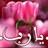 56Hamed's profile image