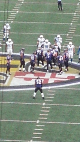 bmorravens4life's profile picture. ravens & orioles fan 4life