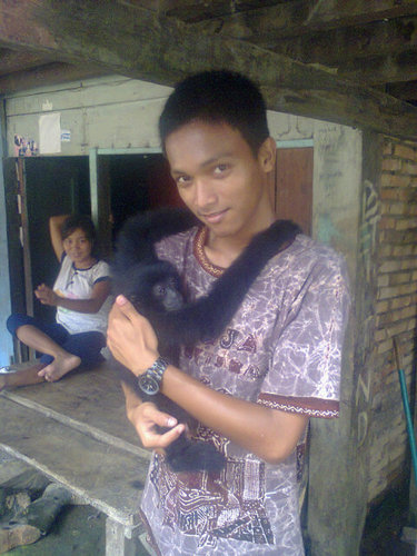 ibnu2006's profile picture. 