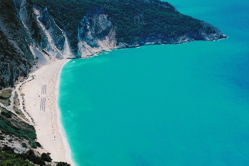 chigreeKEYpedia's profile picture. 