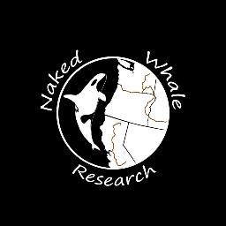 Dedicated to closing the information gap on killer whale habits along the Pacific Coast from Vancouver Island to Monterey Bay.