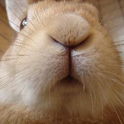 YetNone's profile picture. 