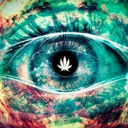 The1StonerStory's profile picture. Sorry for my bluntness, but that's just how I roll !! 
Got that stoner-entrepreneurial  mindset.
 #Success, #Money and #Weed is all I need.
