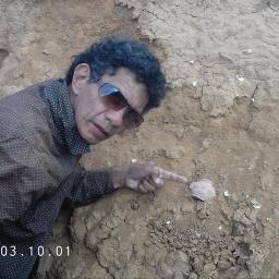 MerbisRamon's profile picture. desde hace casi 2 decadas me encuentro en una investigación arqueologica por  la cual hice un museo con los hallazgos realisados.