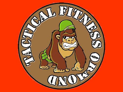 TacticalFitness's profile picture. CrossFit Instructor, Kettlebell Instructor, Gym Owner