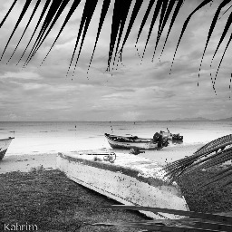 © 2013 Diana H. Kahrim