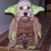 Craig Denyer (@craigdenyer) Twitter profile photo