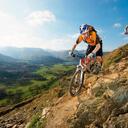 ANDRÉ COELHO - @andrecoelhobr - Twitter