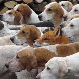 Walk in plain sight! Soul of the South -- You may ... or may not know