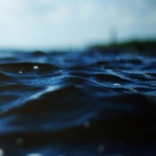 in_the_see's profile picture. тайная жизнь слов