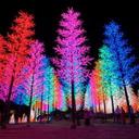 Danielle Livingston  - @ycfindleys - Twitter