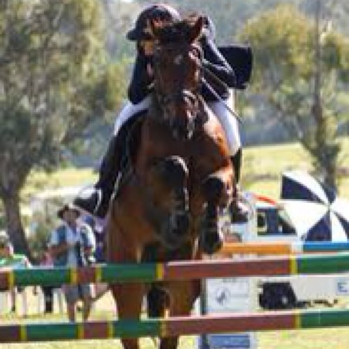 things no equestrians say

Used to be a diff account but changed so I'd actually use it