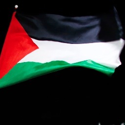 Follow @PalestinePulse for @AlMonitor articles, analysis, & opinions focused on #Palestine news and trends.