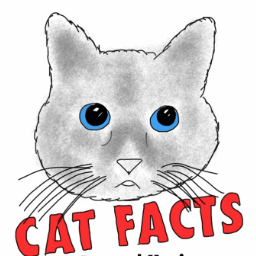 We give facts about cats