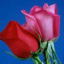 Evelyn Orta - @EvelynOrta2 - Twitter