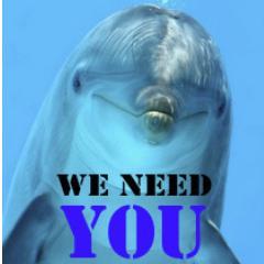Please help show the world what is happening to dolphins in Taiji Cove Japan. We encourage visitors to share images, news clips and videos EVERYWHERE.