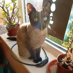 angela_bradshaw's profile picture. Life is for living.