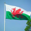 Connor anthony pick - @pickford2009 - Twitter