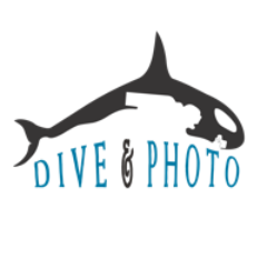 For all your scuba diving needs, from novice to expert and wet suit to camera, we have it all. Lessons are available for both scuba diving and photography.
