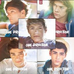 We are  directioners for  life ,not for a life but forever!We follow back!!