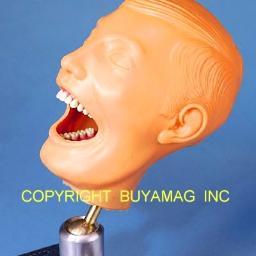 Dental Models Manikins Phantom Head Anatomical Models