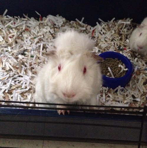 13roken's profile picture. 