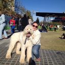 Sharon Sorrell - @SharonSorrell - Twitter