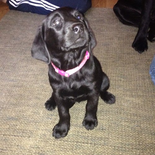 Downeloadgeog's profile picture. now closed down and uploading