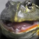 Tim Bliss F* - @TheFrogstar - Twitter