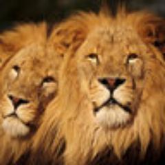 https://t.co/8hIbfaZOCu…                                        https://t.co/JgDgx20MsK