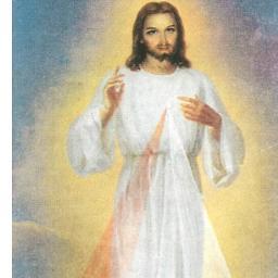 ilcreazionista's profile picture. 🇮🇹