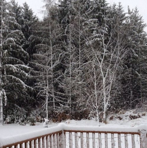 smile0109's profile picture. 