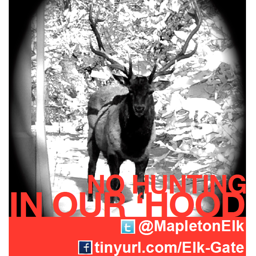 The first and official Boulder Mapleton Elk twitter page.