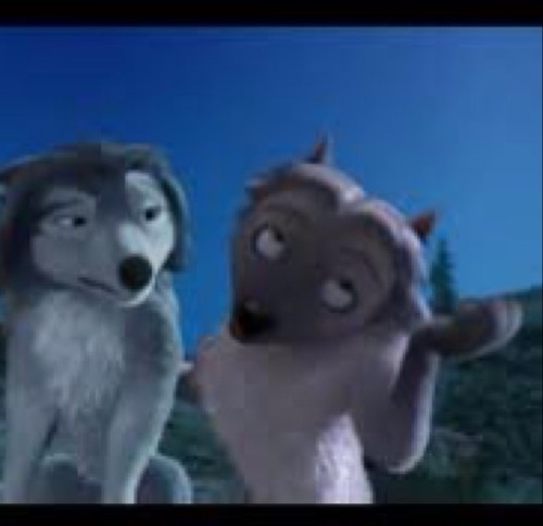 ShakeyTheOmega's profile picture. Hello ladies, my name is Shakey|Omega wolf|Friends with @HumpheryOmeg @SaltyTheOmega|Likes to have fun|