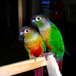 We are happily married, Jewel is my guy and me Gypsy I am his girl.
