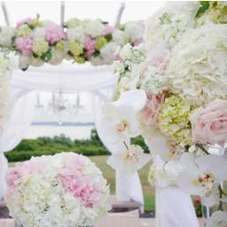 5th Avenue Weddings & Events is a full service wedding and design company for the savvy client. Specializing in European Destination weddings.