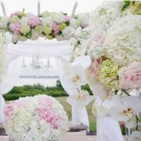 5th Avenue Weddings(@5thAveWeddings) 's Twitter Profile Photo