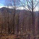 Tom Agnew - @thomashagnew - Twitter