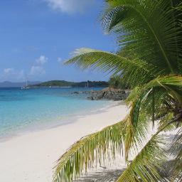 We rent villas (condominiums) located on the Westin St. John Resort; the most popular resort on the island of St. John in the US Virgin Islands.