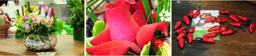 Flores de corte, vasos e cestas da mais alta qualidade, em lindos arranjos e buquês que surpreendem e valorizam qualquer ambiente, momento e ocasião.