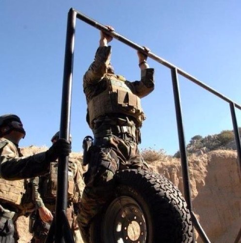 brownie3871's profile picture. 