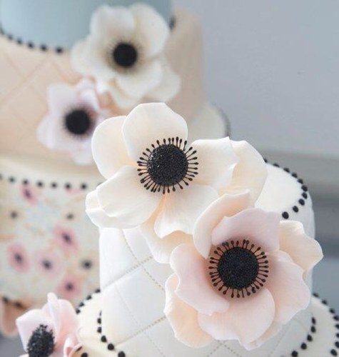 DiventaEvento's profile picture. 