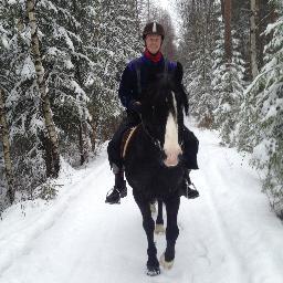 SkogensPrins's profile picture. 