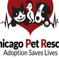 Chicago Pet Rescue(@cprRescue) 's Twitter Profile Photo