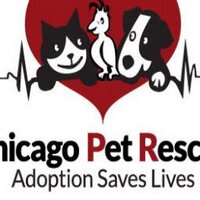 Chicago Pet Rescue (@cprrescue) 's Twitter Profile Photo