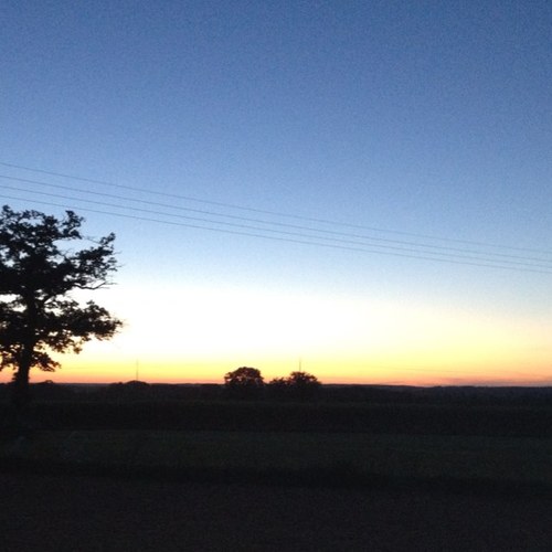 elinepunt's profile picture. 