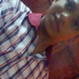 agnonmnotero's profile picture. 